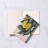 Mini carnet en papier recyclé I Plusieurs illustrations